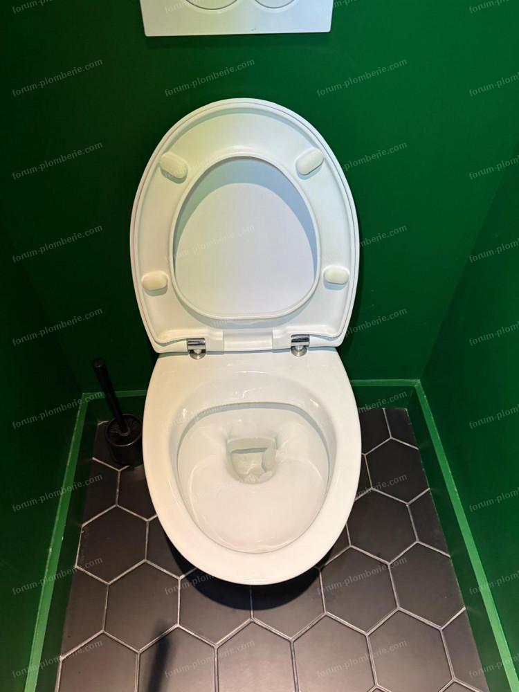 démontage abattant WC Kohler