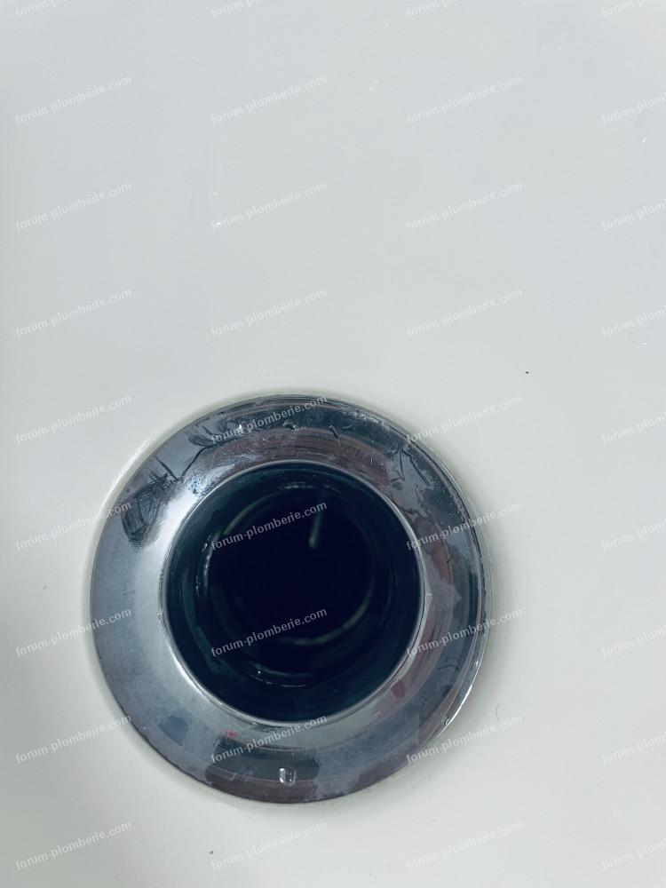 img 3604.jpeg